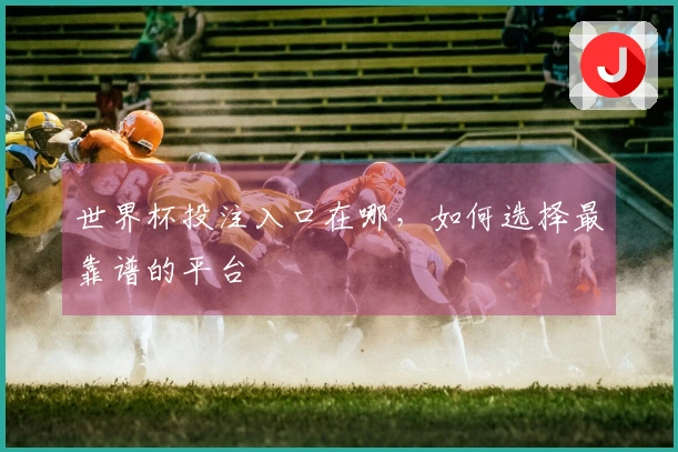 世界杯投注入口在哪，如何选择最靠谱的平台